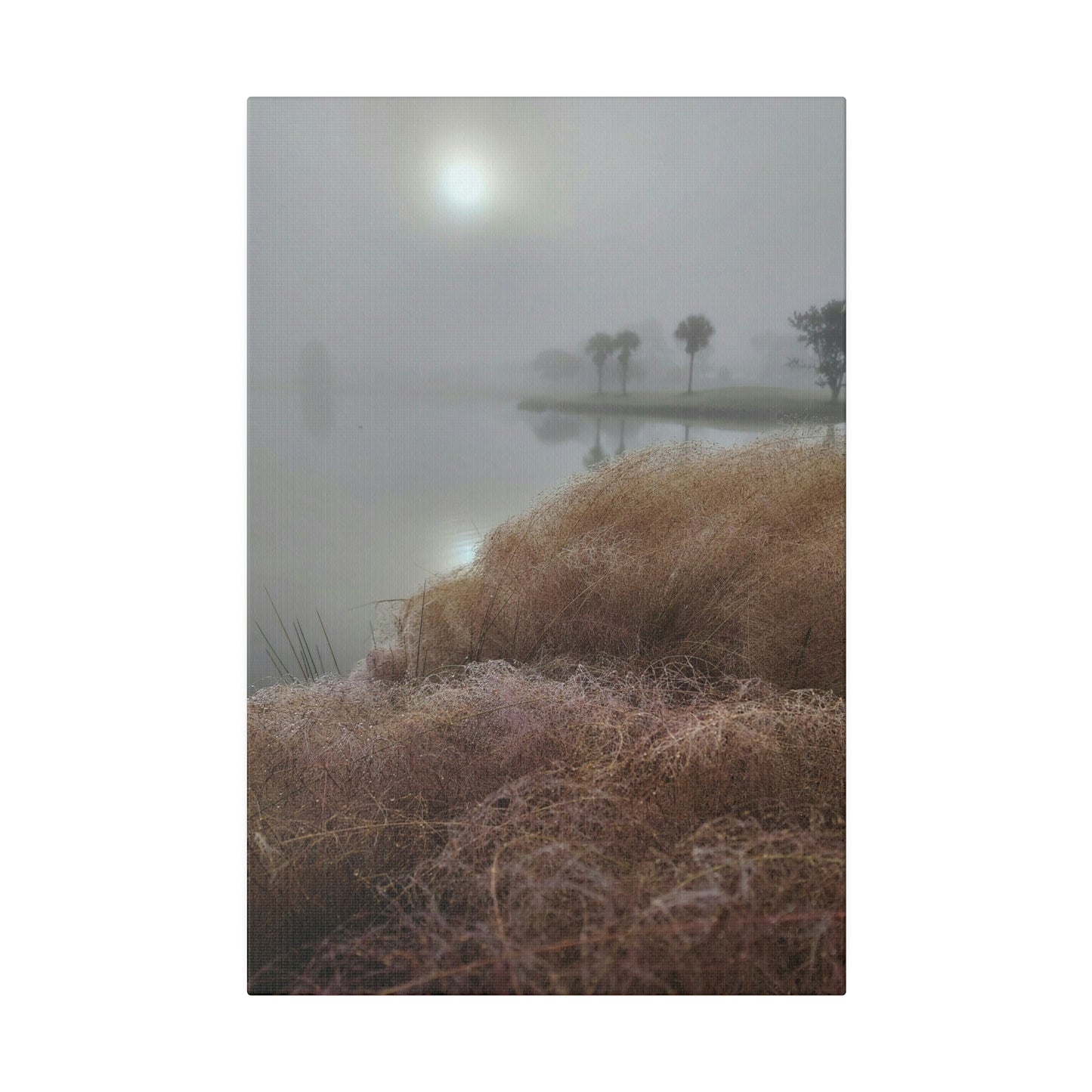 Florida Morning Dew Matte Canvas, Stretched, 0.75"
