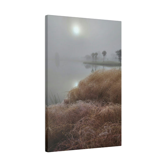 Florida Morning Dew Matte Canvas, Stretched, 0.75"